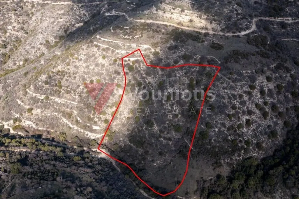 Field in Dora, Limassol — photo 2
