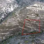 Field in Dora, Limassol — Limassol, Dora (3)