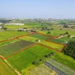 Shared residential field in Frenaros, Famagusta — Famagusta, Frenaros