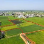 Shared residential field in Frenaros, Famagusta — Famagusta, Frenaros (3)