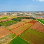 Agricultural field in Frenaros, Famagusta — Famagusta, Frenaros (2)