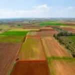 Agricultural field in Frenaros, Famagusta — Famagusta, Frenaros (4)