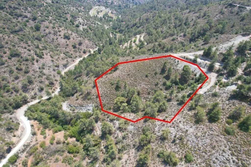 Agricultural field in Gerasa, Limassol — photo 2