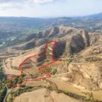 Shared agricultural field in Giolou, Paphos — Paphos, Giolou (3)