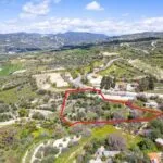 Shared residential field in Kedares, Paphos — Paphos, Kedares (3)