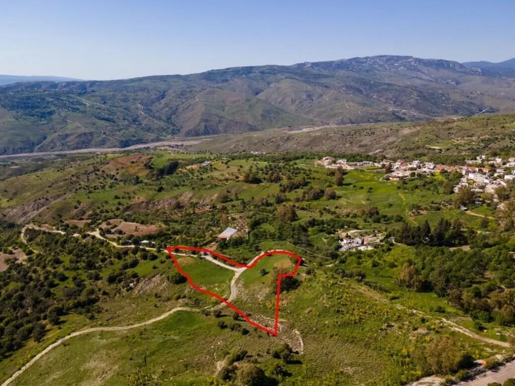 Residential field in Kelokedara, Paphos — photo 4