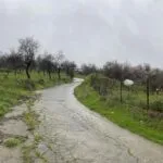 Shared residential field in Kelokedara, Paphos — Paphos, Kelokedara (3)