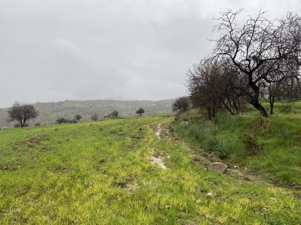 Shared residential field in Kelokedara, Paphos — photo 4