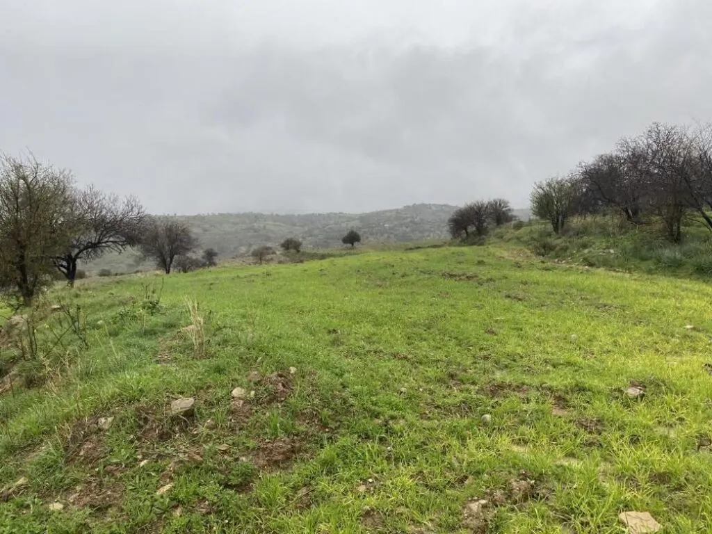 Shared residential field in Kelokedara, Paphos — photo 5