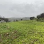 Shared residential field in Kelokedara, Paphos — Paphos, Kelokedara (5)
