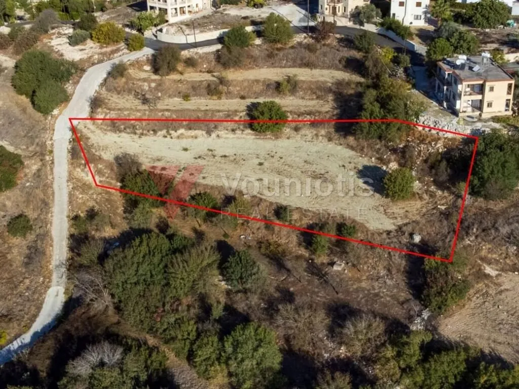 Residential field in Kynousa, Paphos — photo 3