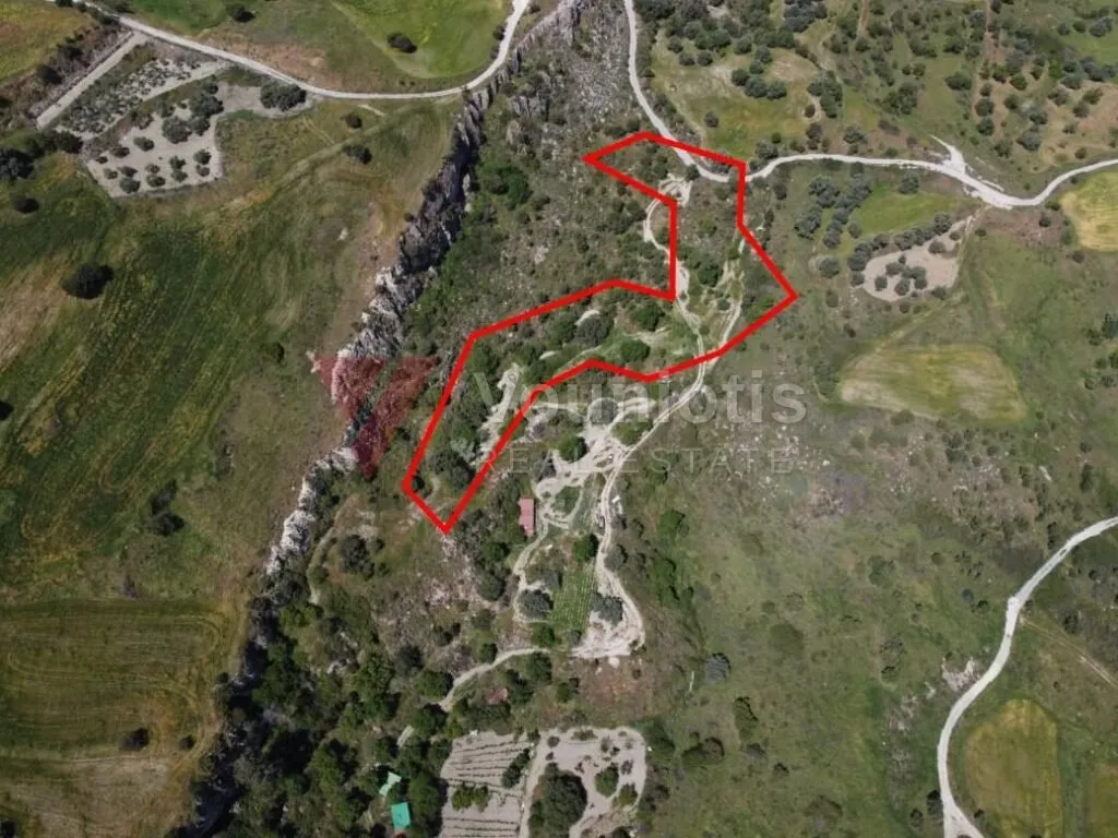 Two shared agricultural fields in Lasa, Paphos — photo 2
