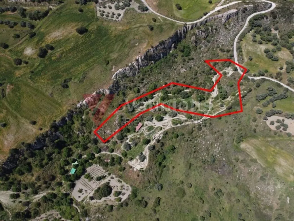 Two shared agricultural fields in Lasa, Paphos — photo 3