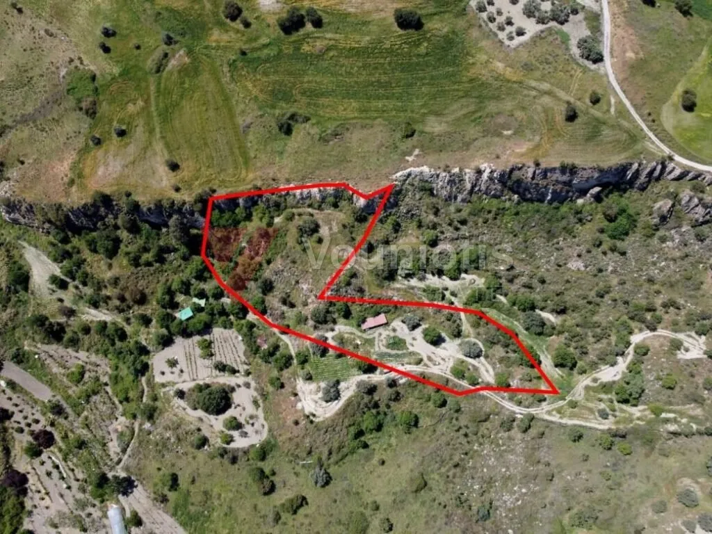 Two shared agricultural fields in Lasa, Paphos — photo 4