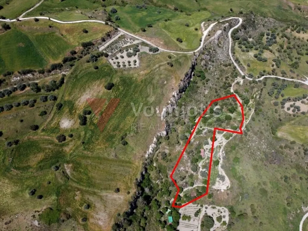 Two shared agricultural fields in Lasa, Paphos — photo 5
