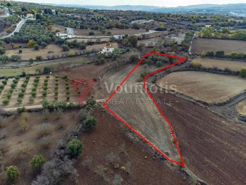 Residential field in Lasa, Paphos — photo 2