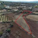 Residential field in Lasa, Paphos — Paphos, Lasa (2)
