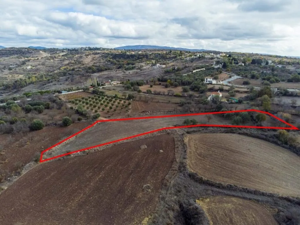 Residential field in Lasa, Paphos — photo 3