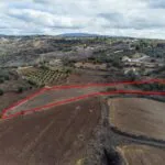Residential field in Lasa, Paphos — Paphos, Lasa (3)