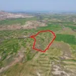 Agricultural field in Linou, Nicosia — Nicosia, Linou (2)