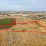 Shared agricultural field in Liopetri, Famagusta — Famagusta, Liopetri (2)