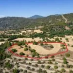 Shared agricultural field in Lysos, Paphos — Paphos, Lysos