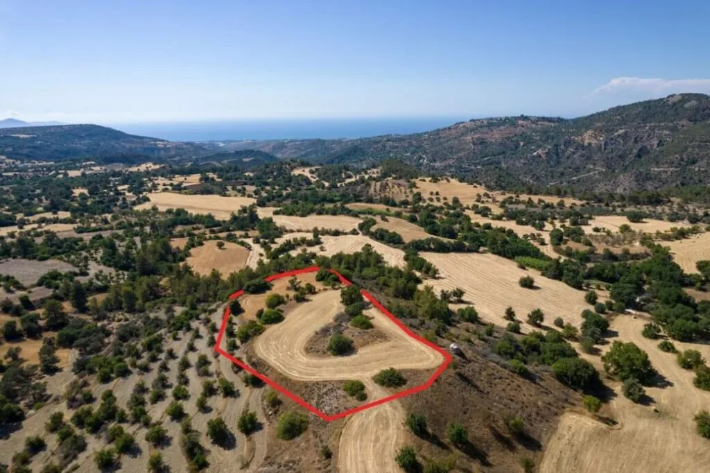 Shared agricultural field in Lysos, Paphos — photo 2