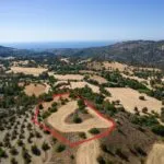 Shared agricultural field in Lysos, Paphos — Paphos, Lysos (2)