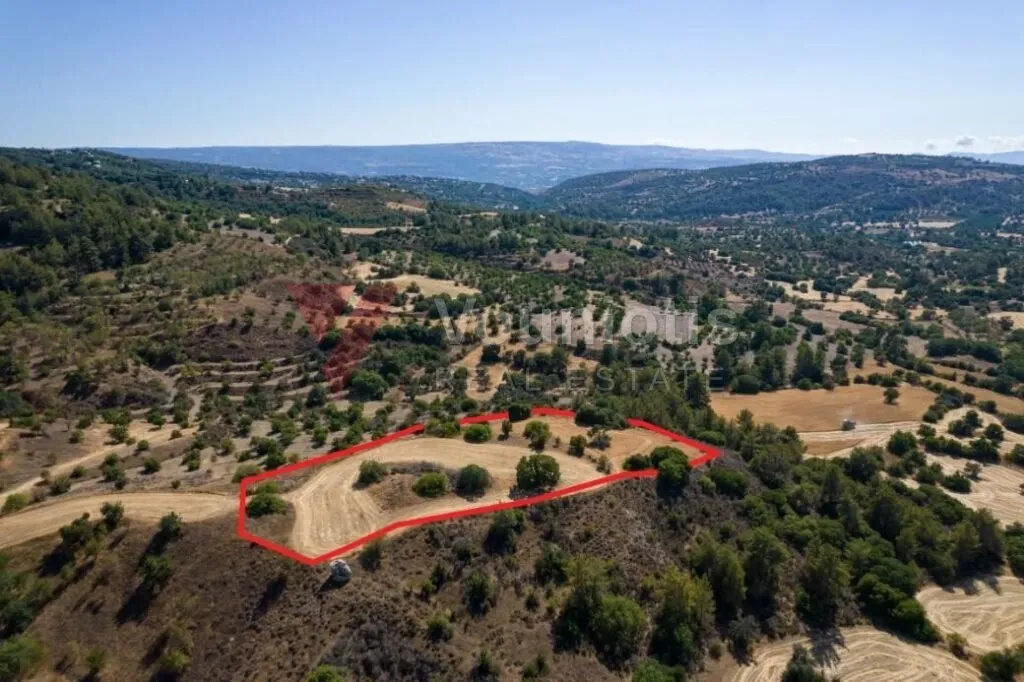 Shared agricultural field in Lysos, Paphos — photo 3