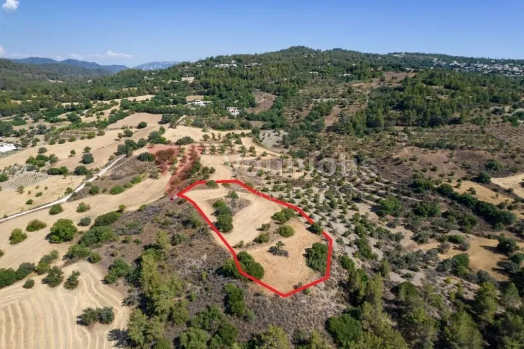 Shared agricultural field in Lysos, Paphos — photo 4