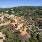 Shared agricultural field in Lysos, Paphos — Paphos, Lysos (4)
