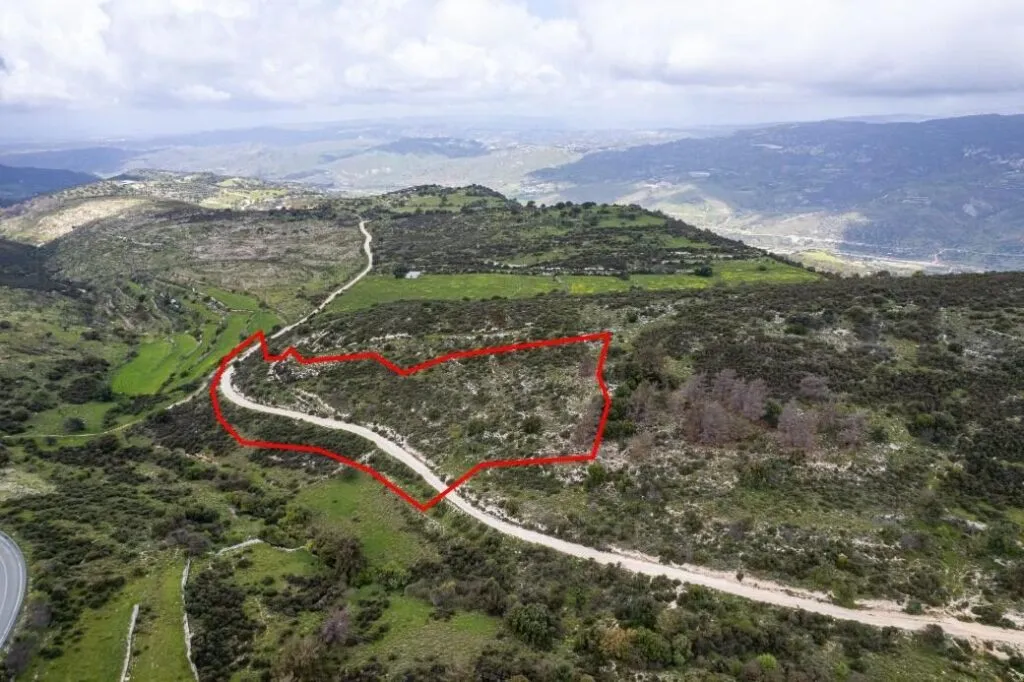 Shared field in Mousere, Paphos — photo 2