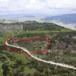 Shared field in Mousere, Paphos — Paphos, Mousere (2)