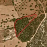 Shared field in Neo Chorio, Paphos — Paphos, Neo Chorio