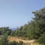 Shared field in Neo Chorio, Paphos — Paphos, Neo Chorio (4)