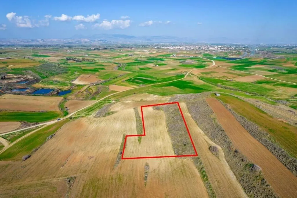 Field in Orounta, Nicosia — photo 2