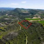 Agricultural field in Pachna, Limassol — Limassol, Pachna (2)