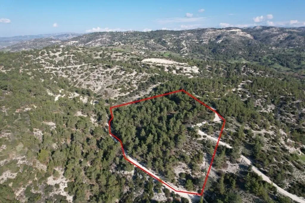 Shared field in Pano Archimandrita, Paphos — photo 2