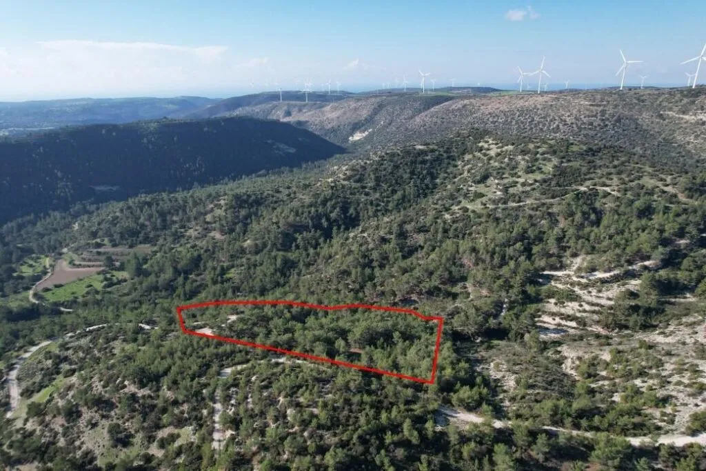 Shared field in Pano Archimandrita, Paphos — photo 4