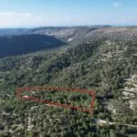 Shared field in Pano Archimandrita, Paphos — Paphos, Pano Archimandrita (4)