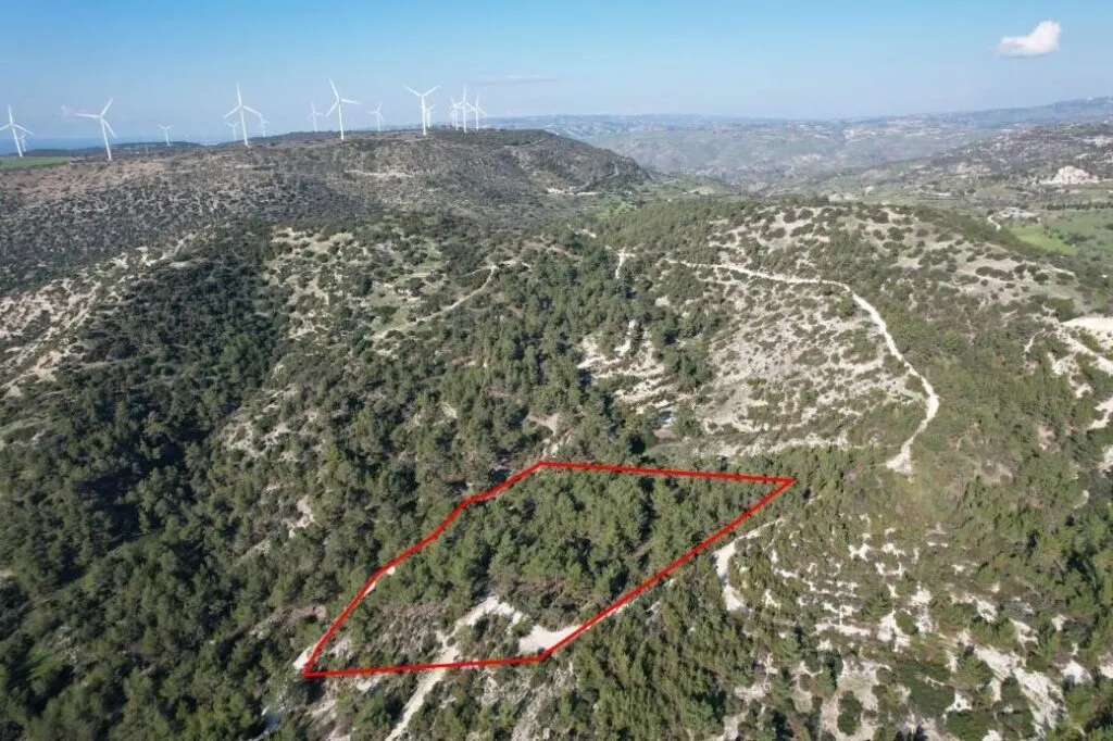 Shared field in Pano Archimandrita, Paphos — photo 5