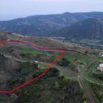 Shared agricultural field in Pano Pyrgos, Nicosia — Nicosia, Pano Pyrgos (3)