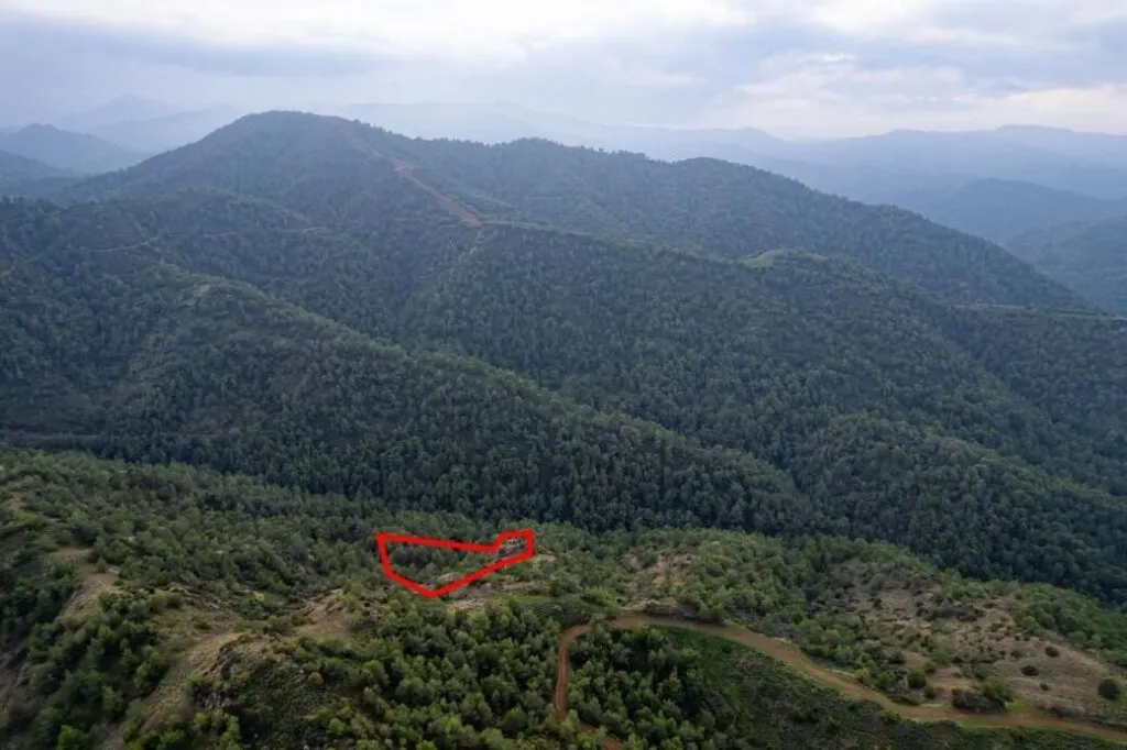 Селскостопанско поле в Пано Пиргос, Никозия — снимка 4