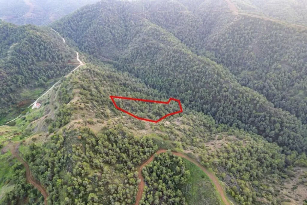 Селскостопанска нива в Пано Пиргос, Никозия — снимка 5