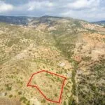 Shared agricultural field in Pegeia, Paphos — Paphos, Pegeia