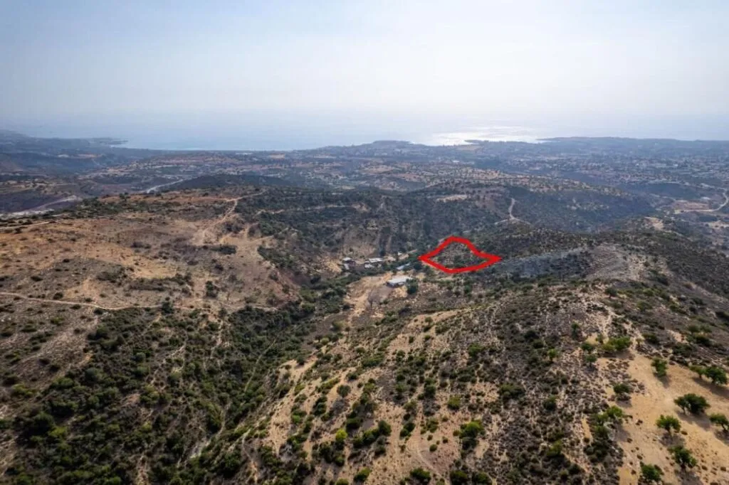 Shared agricultural field in Pegeia, Paphos — photo 2