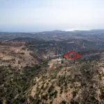 Shared agricultural field in Pegeia, Paphos — Paphos, Pegeia (2)