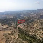 Shared agricultural field in Pegeia, Paphos — Paphos, Pegeia (3)