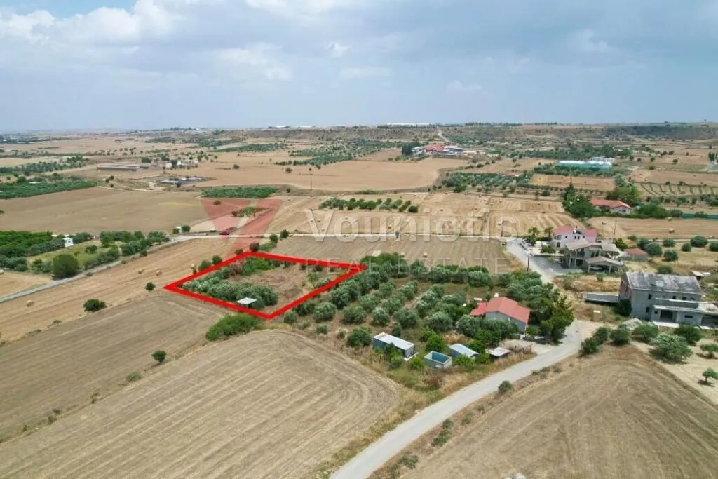 Residential field in Pera, Nicosia — photo 2