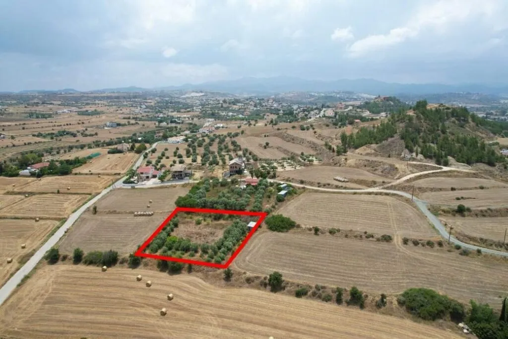 Residential field in Pera, Nicosia — photo 3